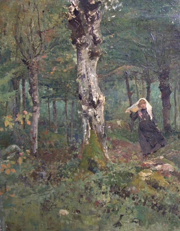 Nel bosco
